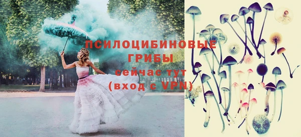мдпв Зеленодольск