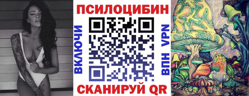 Псилоцибиновые грибы прущие грибы MEGA сайт мориарти наркотические препараты сколько стоит Сольвычегодск